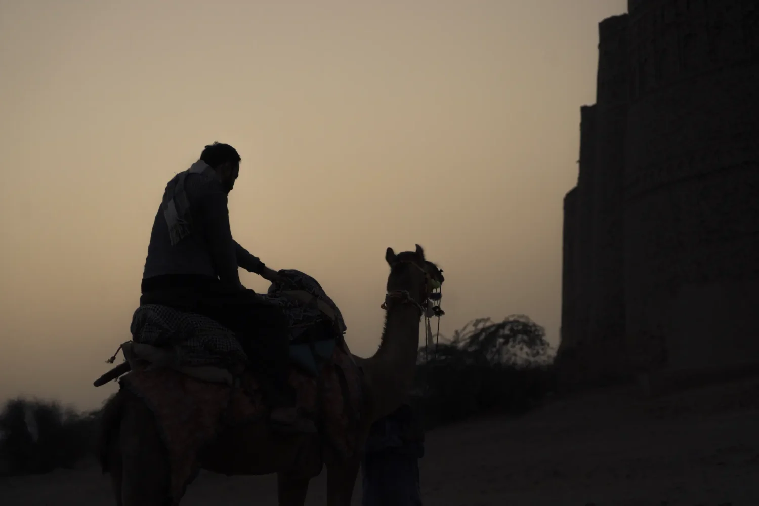 Tourist enjoying camel ride at Derawar